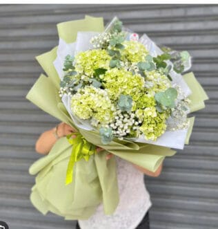 BÓ HOA Khởi Đầu Mới