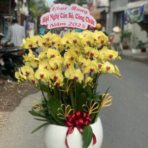 CHẬU HOA LAN HỒ ĐIỆP Hồ Điệp vĩnh cửu