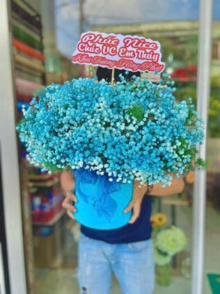 GIỎ HOA Lời Thương Mến