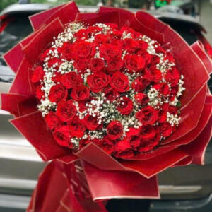 BÓ HOA Hoa Của Nắng