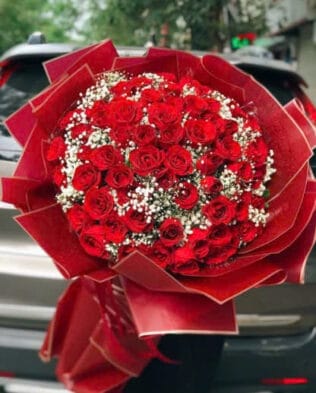 BÓ HOA Hoa Của Nắng