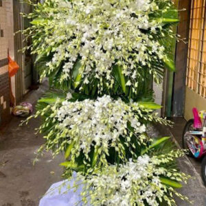 KỆ HOA VIẾNG Hoa Lan Hồ Điệp Trắng