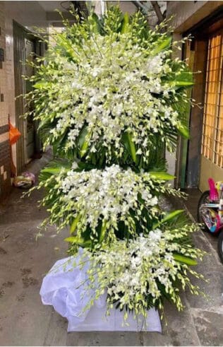 KỆ HOA VIẾNG Hoa Lan Hồ Điệp Trắng